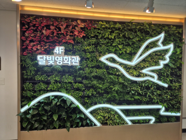 초록빛으로 물든 철원 달빛영화관… 실내정원 새 단장