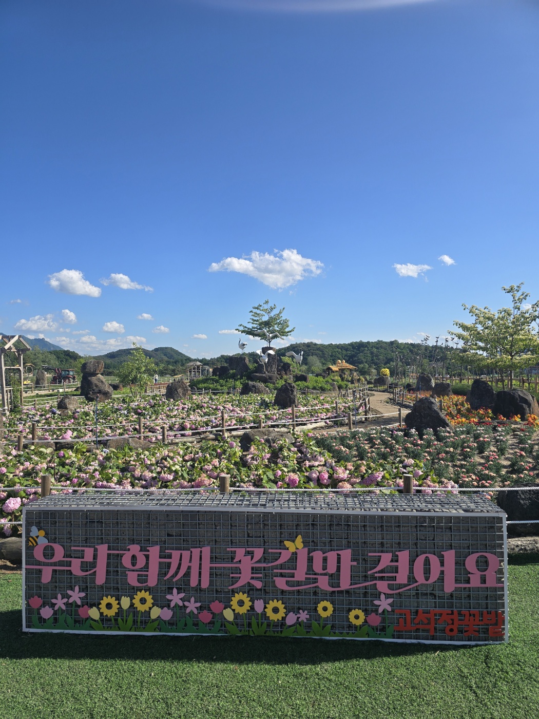 2024 고석정 꽃밭