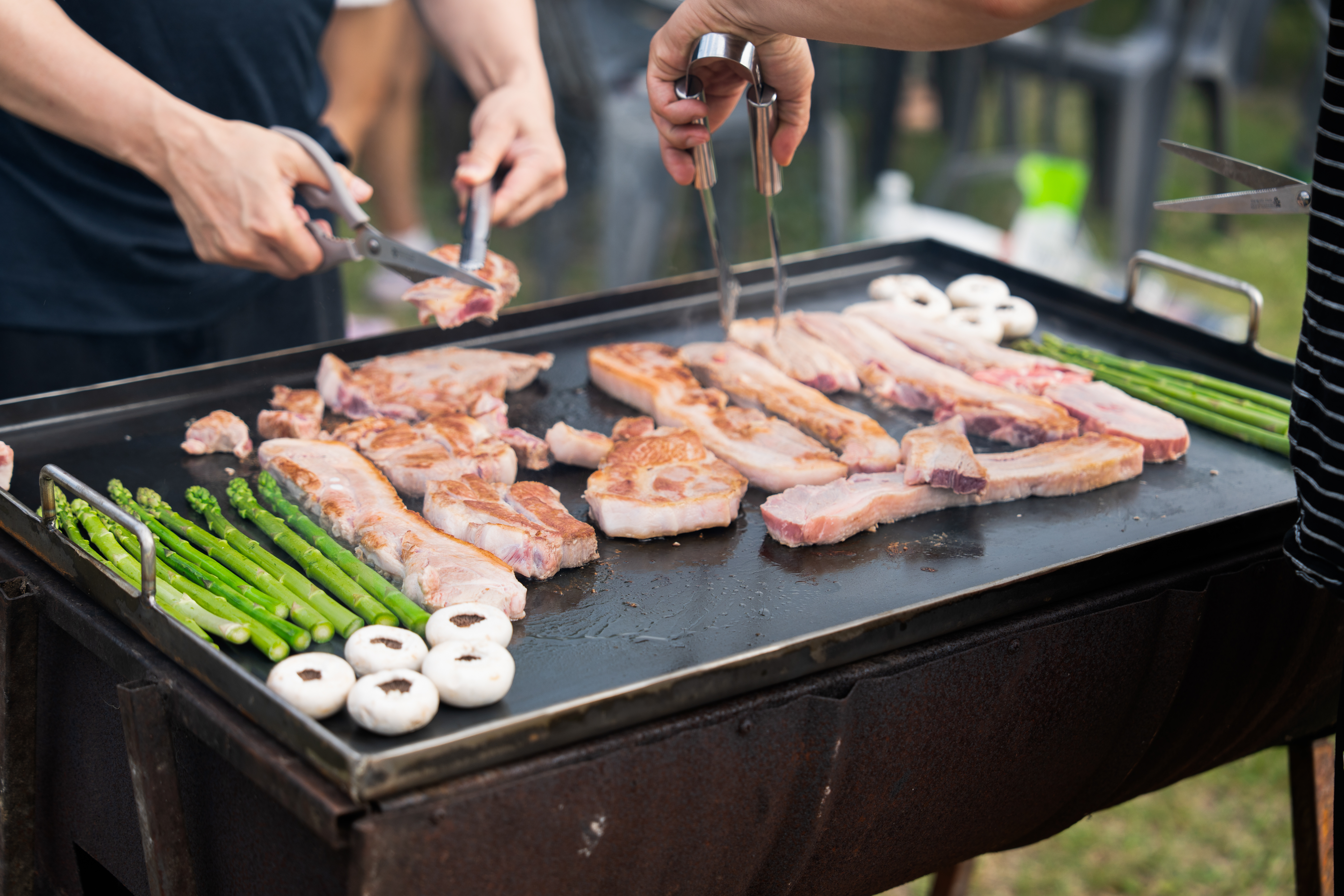 2025 캠핑 페스티벌 및 산소길 걷기 행사