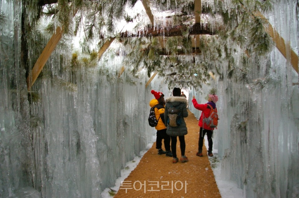 눈꽃·얼음꽃 핀 한탄강 비경에 설레는 철원의 겨울!